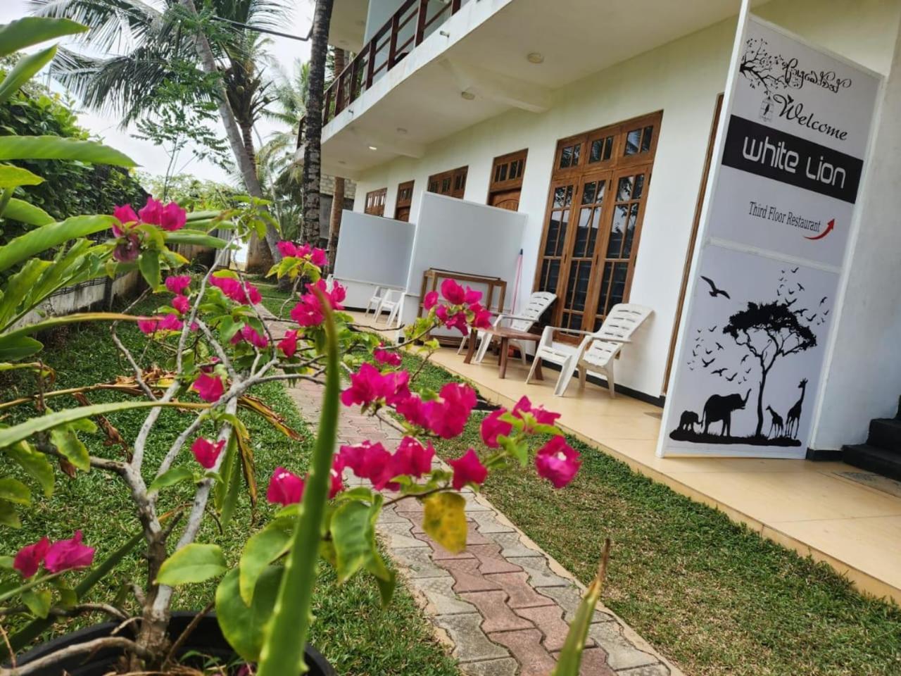 White Lion Paradise Dikwella Batigama Buitenkant foto